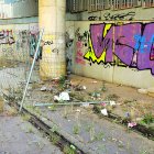 La basura de la Feve