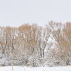 Paraje nevado en la provincia.