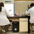 El grupo lleva cinco años investigando el Secretoma.