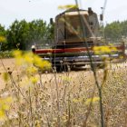 Organizaciones agrarias y las cooperativas ya alertaron del alza de precios por el conflicto en Oriente Medio.