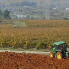 Muchos productores optan por reducir las superficies y apostar por alternativas que requieran menos inversión.