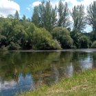 Un tramo del río entre árboles y vegetación autóctona, uno de los paisajes naturales más tranquilos del entorno leonés.