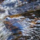 Las aguas de la Fuente de Don Roque, en Villanueva de la Tercia, brotan a una temperatura situada entre los 28 y los 31 grados, según las distintas fuentes consultadas, y dieron origen a un histórico balneario hoy abandonado.