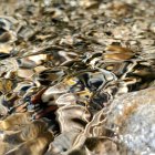 Las aguas de las Caldas de Getino mantienen una temperatura constante de entre 26 y 27 grados y, según diversas fuentes locales, son apreciadas por su contenido en bicarbonatos y minerales ferruginosos.