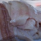 La alerta de AESAN afecta únicamente a referencias concretas de bacalao en aceite, no al bacalao fresco ni a todos los productos de esta categoría.