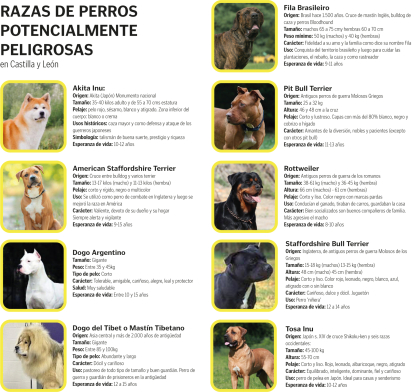 Las nueve razas de perros potencialmente peligrosos en Castilla y León.