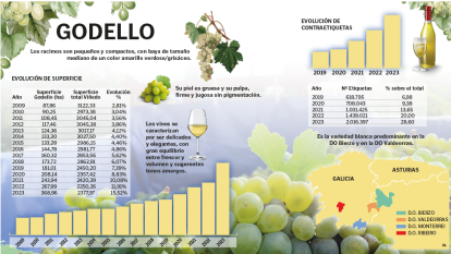 Evolución de la uva Godello en El Bierzo.