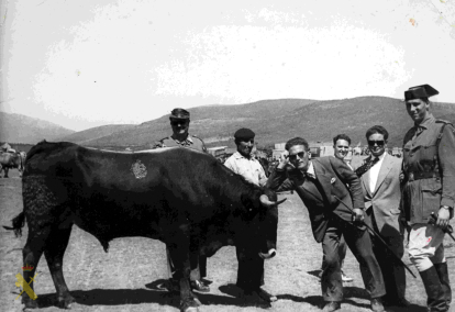 El teniente Jesús Mangas con otras personas de la Peña El Mercadillo posa delante de un toro. En el reverso sello del productor y fecha de producción.