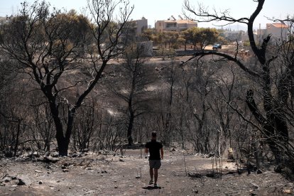 El fuego se declaró el domingo en la localidad de Varnava, a unos 40 kilómetros al norte de Atenas.