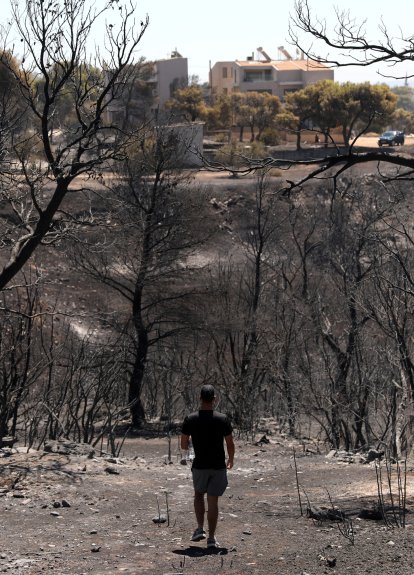 El fuego se declaró el domingo en la localidad de Varnava, a unos 40 kilómetros al norte de Atenas.