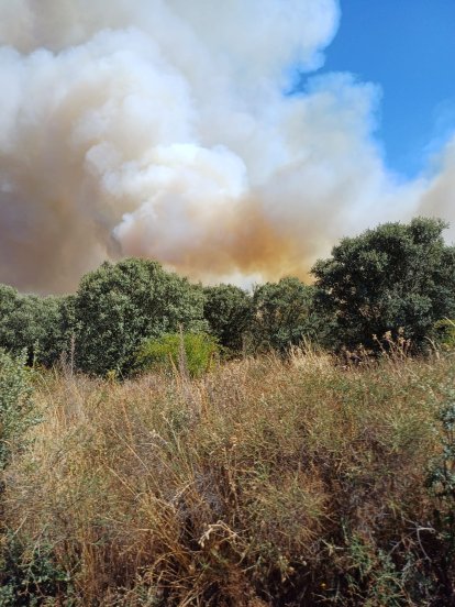 El incendio en la localidad leonesa perteneciente al término municipal de Astorga.