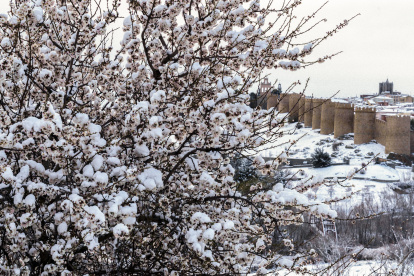 La nieve en Ávila, el pasado domingo.
