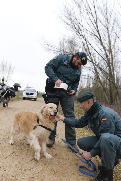 Tras la huella del hombre para poner coto al maltrato animal.