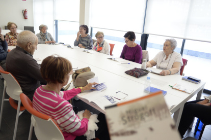 El centro trabaja con dos ejes principales centrados en la promoción, desarrollo y difusión de conocimientos, experiencias innovadoras y métodos de atención a personas mayores en riesgo de dependencia.