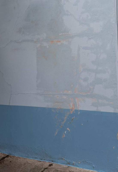 Las cucarachas y las hormigas campan a sus anchas en el edificio de Infantil donde los techos se caen por la humedad e inhabilitan las aulas ante el peligro potencial.  DL