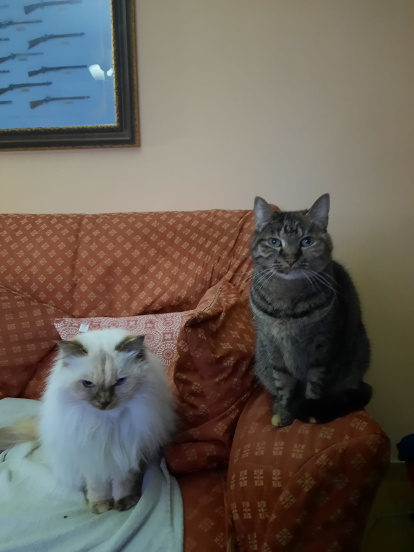 Iris y Triana con Gabriel