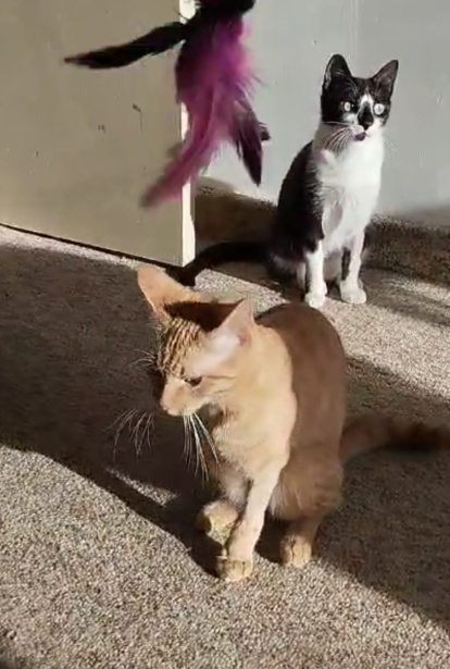 Mandarina y Michina con Esperanza