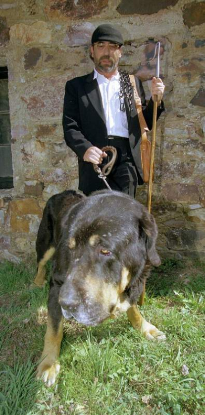 Pedro Trapiello, pastor.  Le nombraron Pastor Mayor y posó con un gigantesco perro. ANA M. DÍEZ