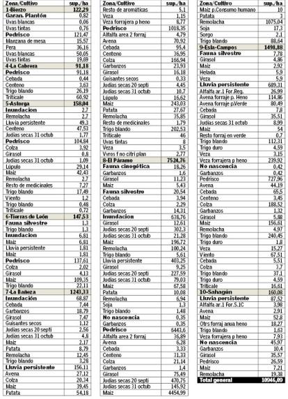 Siniestros declarados en 2024 en la provincia de León