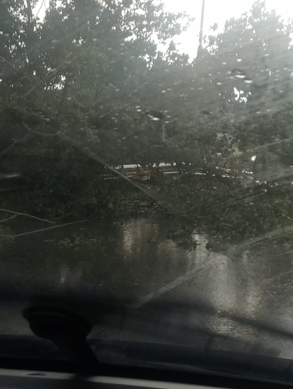 Los estragos del temporal se han visto en otros puntos de la ciudad. Es el caso de la caída de un árbol en San Andrés a Ferral.