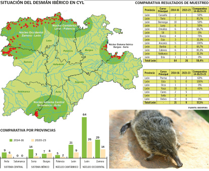 Situación del desmán ibérico en Castilla y León.