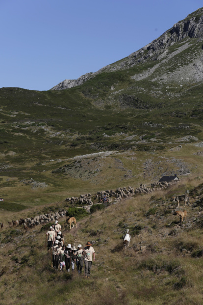 La sexta edición de «Aventura trashumante entre lobos y mastines».