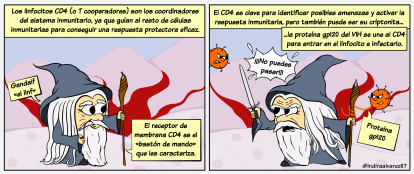 Ilustración hecha por Indira Álvarez.