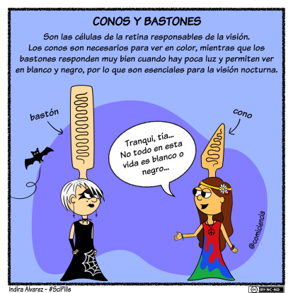 Ilustración realizada por Indira Álvarez.