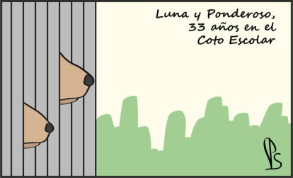 El humor de Santamarta, 11 de enero de 2025