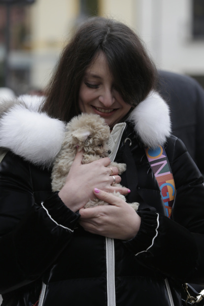 Bendición de los animales por San Antón en la plaza de San Marcelo en León.