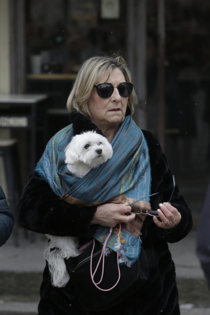Bendición de los animales por San Antón en la plaza de San Marcelo en León.