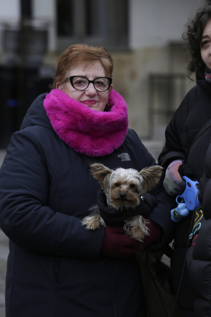 Bendición de los animales por San Antón en la plaza de San Marcelo en León.