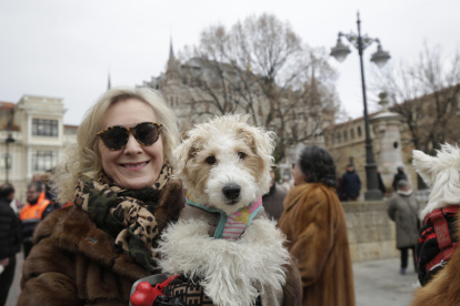 Bendición de los animales por San Antón en la plaza de San Marcelo en León.