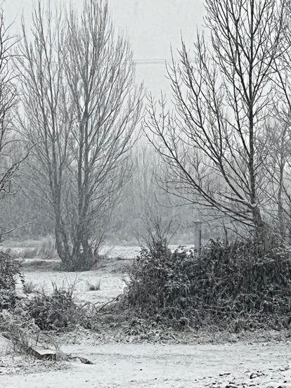 Nieve en Quintanilla de Sollamas.