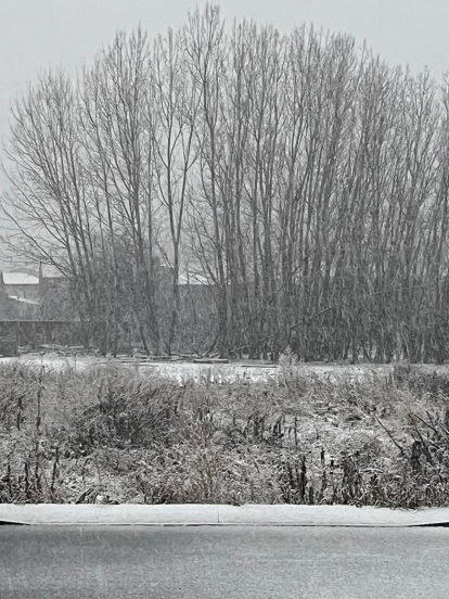 Nieve en Quintanilla de Sollamas.