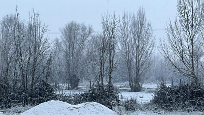 Nieve en Quintanilla de Sollamas.
