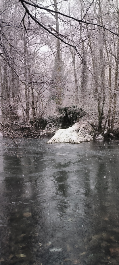 Nevada en Cabeza de Campo.