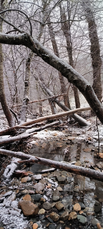 La nieve en Cabeza de Campo.
