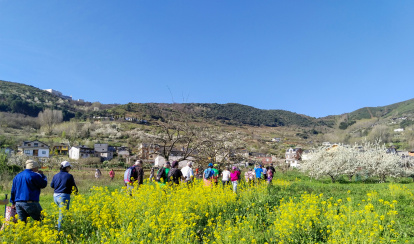Participantes en ediciones anteriores de la Enxendra da Cireixa.
