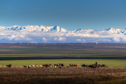 El Gran Cáucaso, Georgia.