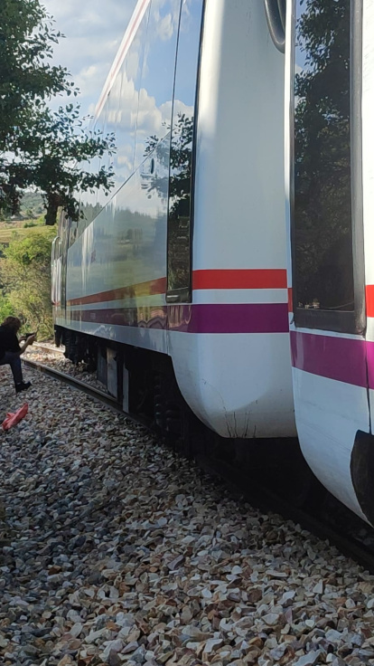 El tren Feve descarrillado en el municipio de La Ercina.