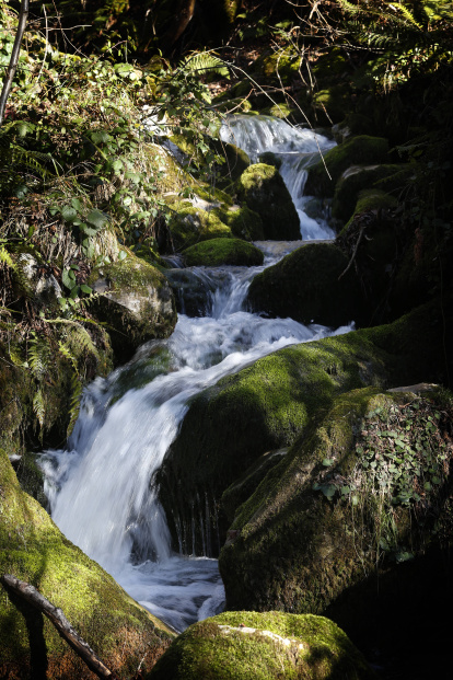 Una cascada en el valle de Sajambre.