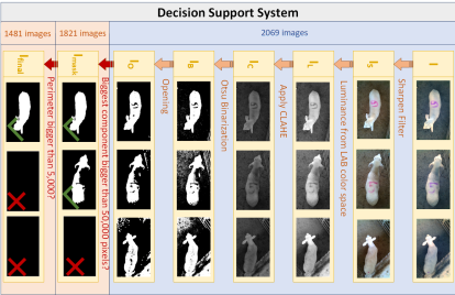 Imágenes cenitales de corderos tomadas durante el proyecto.