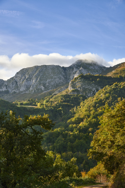 El entorno de Soto de Sajambre combina la majestuosidad de la roca caliza con la serenidad de los hayedos que lo rodean.