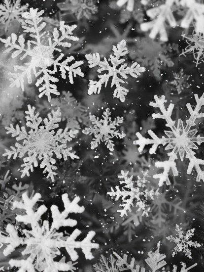 Talleer de copos de nieve.