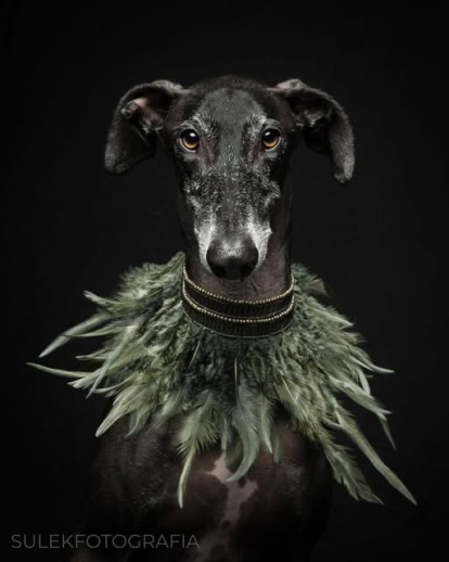 Un 'hijo del viento'.