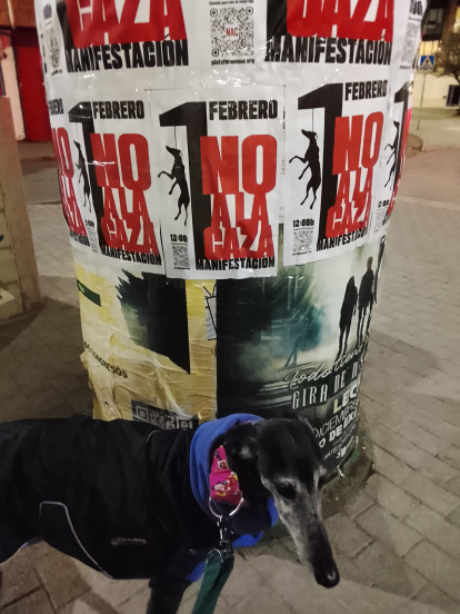 Bruma ante un cartel de No a la Caza.