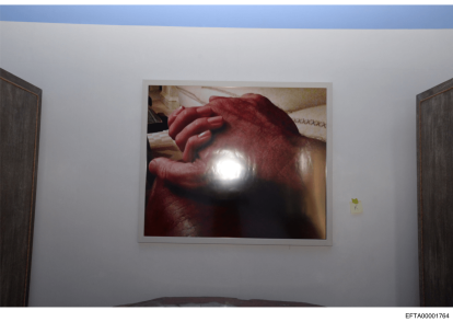 Las fotos desclasificadas del caso Epstein.