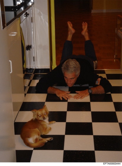 Las fotos desclasificadas del caso Epstein.