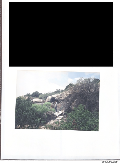 Las fotos desclasificadas del caso Epstein.